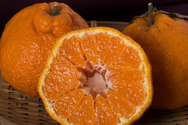 丑八怪橘子市场价格多少钱一斤 丑橘的营养成分有哪些