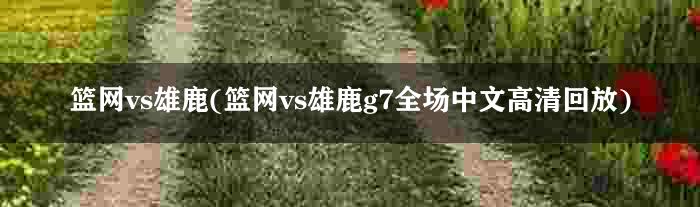 篮网vs雄鹿(篮网vs雄鹿g7全场中文高清回放)