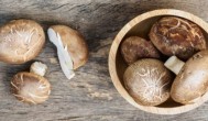 冬天鲜香菇怎么保存 鲜香菇冬天的储存方法