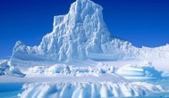 北极最大的资源是什么 北极介绍