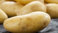 土豆发芽了怎么种 土豆发芽了如何种