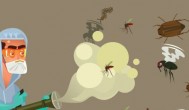 怎么消灭超小的蚊子 如何消灭超小的蚊子