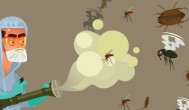 如何消灭蚊子 哪些方法能消灭蚊子