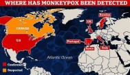 猴痘病例四起会传入中国吗,猴痘传入中国的风险有多大？