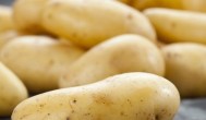 土豆发芽怎么种 土豆发芽了怎么种植