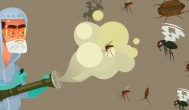 如何灭蚊子最有效 怎样灭蚊子最有效