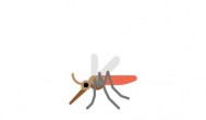 蚊子包多久会消失 蚊子包多长时间能消失