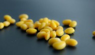 黄豆可以做什么简单的食物 黄豆能做什么食物