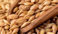 小麦什么季节能成熟 小麦成熟季节介绍