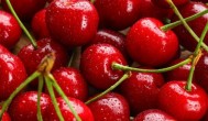 乌克兰樱桃种植技巧 乌克兰樱桃如何种植