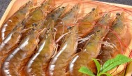 怎样辨别养殖虾与海虾 如何辨别养殖虾与海虾