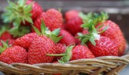 草莓几月份出来 草莓几月份成熟
