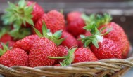 自家种的草莓怎么施肥 自家种的草莓施肥方法