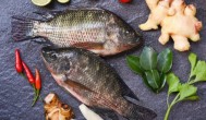 红烧鱼草鱼怎么做好吃 红烧鱼草鱼好吃的做法介绍