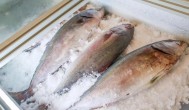 超市冻鱼怎么做好吃 超市冻鱼如何做好吃
