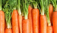 胡萝卜富含胡萝卜素怎么吃更好吸收 胡萝卜富含胡萝卜素如何吃更好吸收