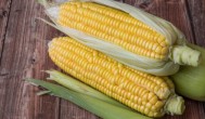 玉米煮多长时间能好的土方法 玉米煮多久