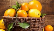 橙子的成熟季节 橙子的成熟季节介绍
