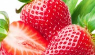 草莓适合什么季节种植 草莓适合哪个季节种植