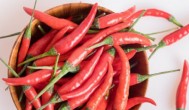 红辣椒适合什么季节种植 红辣椒适合种植的季节