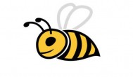 怎么养土蜜蜂就不会飞走 如何养土蜜蜂就不会飞走