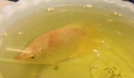 黄粉一般泡鱼多长时间 用黄粉给鱼药浴要多长时间