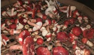 红菇一次泡几朵 红菇一次泡多少朵