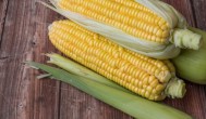 玉米怎样判断熟可以采摘了 怎样判断玉米熟可以采摘了