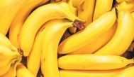 怎样判断香蕉可以采摘 如何确定香蕉是否可以采摘