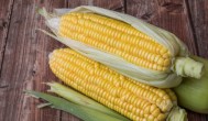 玉米是碱性食物还是酸性食物 玉米是酸性还是碱性