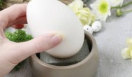 咸鹅蛋腌制多久可以吃 咸鹅蛋腌制的时间