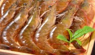 海鲜虾是酸性还是碱性食物 海鲜虾是不是酸性食物