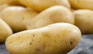 广州土豆什么时候种最合适 广东土豆几月份种
