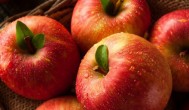 在广西能种苹果吗 在广西能不能种苹果树