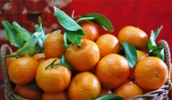 砂糖橘是柑橘类水果吗 砂糖橘是不是柑橘类水果
