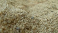 天然砂和机制砂的区别 天然砂和机制砂有哪些区别