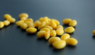 黄豆用电磁炉炖多久能熟 黄豆用电磁炉炖熟的时长