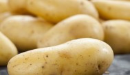 怎么种发芽的土豆 发芽的土豆怎么种