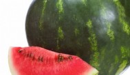 海南八月份还可以种西瓜吗 海南八月能种西瓜么
