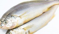 臭鱼是哪里的特色菜 臭鱼特色菜的介绍
