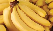 中元节祭品香蕉能摆放吗 中元节祭品香蕉是否能摆放