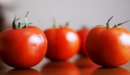 怎么做西红柿炖牛肉 西红柿炖牛肉的做法