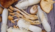 夏季适合吃什么菇类 夏季适合吃哪些菇类