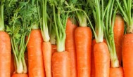 胡萝卜最佳种植时间 胡萝卜哪个时间种植好