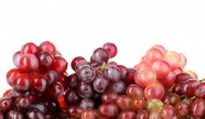 家庭种植葡萄什么时候合适 葡萄什么时候栽种比较合适