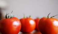 西红柿玉米排骨汤的做法 如何做西红柿玉米排骨汤