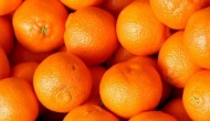 橘子和桔子的区别是什么 橘子的种类有哪些