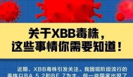 关于XBB毒株的6个认知误区,科学防疫！