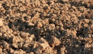 土壤活化剂真能改变土壤性质吗，土壤活化剂的作用机理
