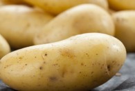 发芽的土豆去掉芽能吃吗 土豆怎么保存才不发芽
